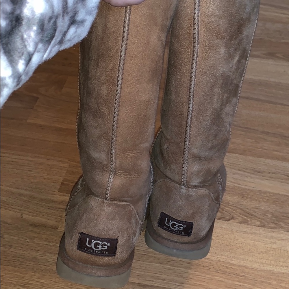 Chestnut Classic Tall Ugg’s